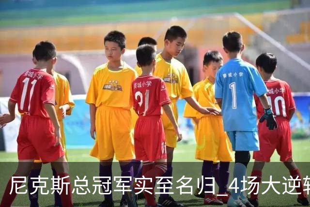 尼克斯总冠军实至名归 4场大逆转击碎所有争议